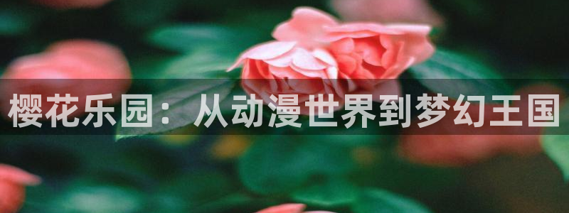 omofun动漫官网正版下载：樱花乐园：从动漫世界到梦幻王国
