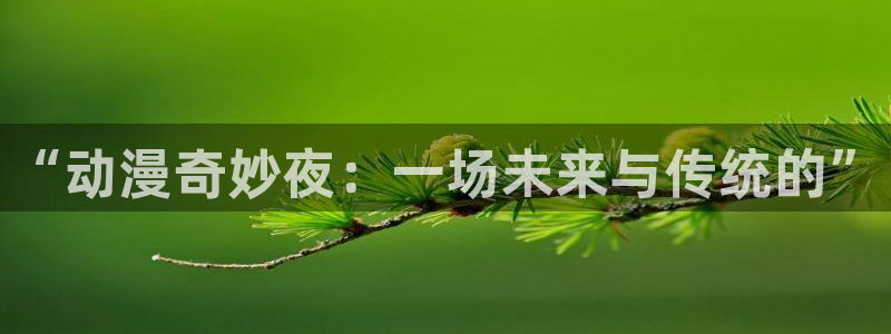 omofun动漫免费看：“动漫奇妙夜：一场未来与传统的”