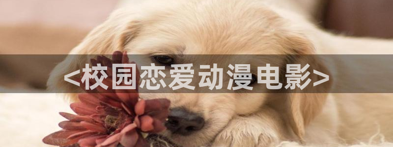 omofun动漫网站入口：<校园恋爱动漫电影>